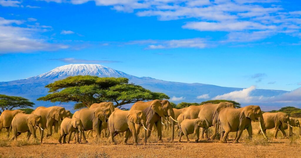 Scenic photo of Kenya